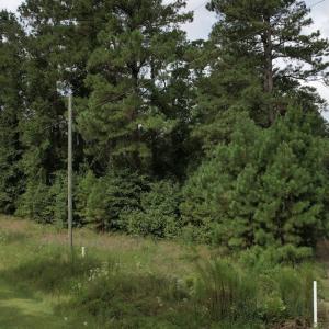 Photo #24 of 624 Dismal Road, Hallsboro, NC 32.2 acres