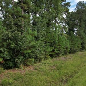 Photo #25 of 624 Dismal Road, Hallsboro, NC 32.2 acres