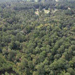 Photo #30 of 624 Dismal Road, Hallsboro, NC 32.2 acres
