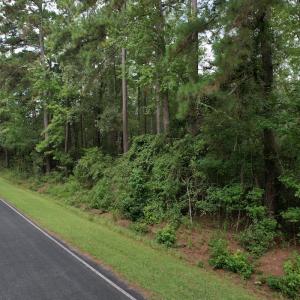Photo #33 of 624 Dismal Road, Hallsboro, NC 32.2 acres