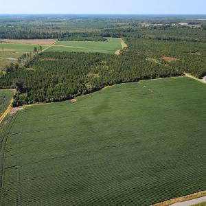 Photo #1 of 132 Acres Beale Rd, Newsoms, VA 132.0 acres
