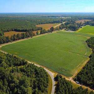 Photo #4 of 132 Acres Beale Rd, Newsoms, VA 132.0 acres
