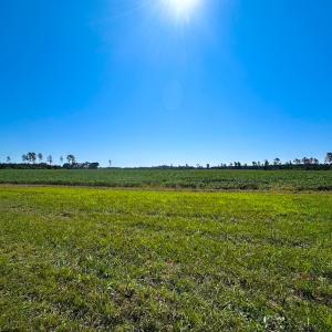 Photo #15 of 132 Acres Beale Rd, Newsoms, VA 132.0 acres