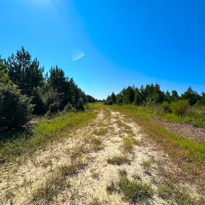 Photo #17 of 132 Acres Beale Rd, Newsoms, VA 132.0 acres