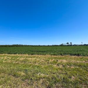 Photo #23 of 132 Acres Beale Rd, Newsoms, VA 132.0 acres