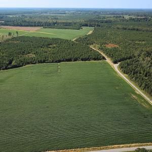 Photo #24 of 132 Acres Beale Rd, Newsoms, VA 132.0 acres