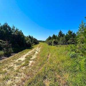 Photo #25 of 132 Acres Beale Rd, Newsoms, VA 132.0 acres