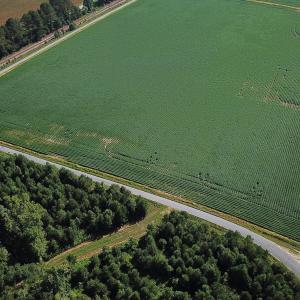 Photo #28 of 132 Acres Beale Rd, Newsoms, VA 132.0 acres