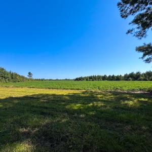 Photo #30 of 132 Acres Beale Rd, Newsoms, VA 132.0 acres