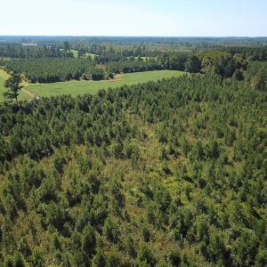 Photo #31 of 132 Acres Beale Rd, Newsoms, VA 132.0 acres