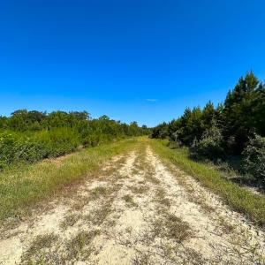 Photo #32 of 132 Acres Beale Rd, Newsoms, VA 132.0 acres
