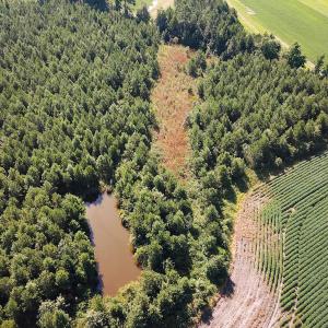 Photo #33 of 132 Acres Beale Rd, Newsoms, VA 132.0 acres