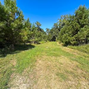 Photo #34 of 132 Acres Beale Rd, Newsoms, VA 132.0 acres
