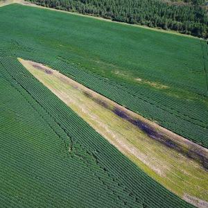Photo #35 of 132 Acres Beale Rd, Newsoms, VA 132.0 acres