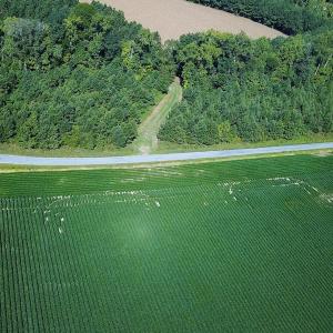 Photo #37 of 132 Acres Beale Rd, Newsoms, VA 132.0 acres
