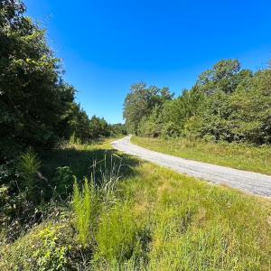 Photo #39 of 132 Acres Beale Rd, Newsoms, VA 132.0 acres