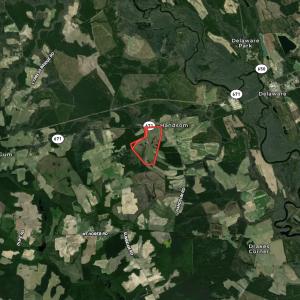 Photo #40 of 132 Acres Beale Rd, Newsoms, VA 132.0 acres