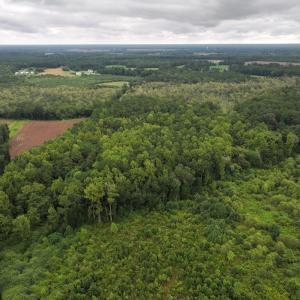 Photo #10 of Off Stocking Head Road, Rose Hills, NC 74.8 acres