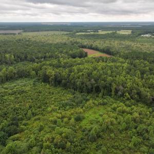 Photo #11 of Off Stocking Head Road, Rose Hills, NC 74.8 acres