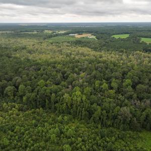 Photo #12 of Off Stocking Head Road, Rose Hills, NC 74.8 acres