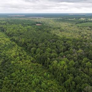 Photo #13 of Off Stocking Head Road, Rose Hills, NC 74.8 acres