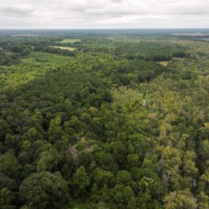 Photo #15 of Off Stocking Head Road, Rose Hills, NC 74.8 acres