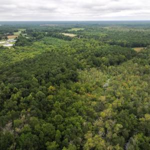 Photo #16 of Off Stocking Head Road, Rose Hills, NC 74.8 acres