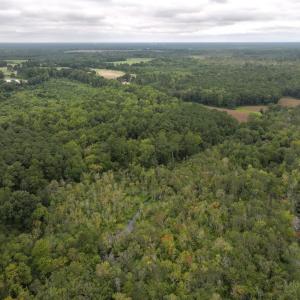 Photo #17 of Off Stocking Head Road, Rose Hills, NC 74.8 acres