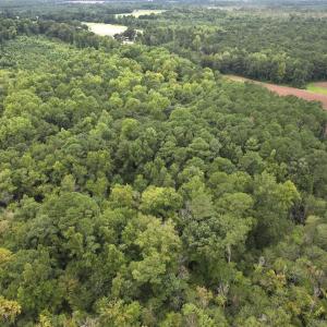 Photo #18 of Off Stocking Head Road, Rose Hills, NC 74.8 acres