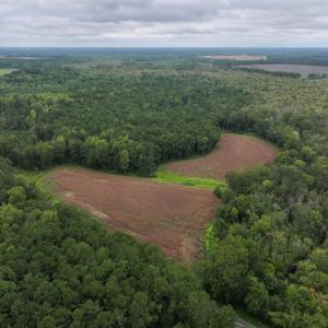 Photo #19 of Off Stocking Head Road, Rose Hills, NC 74.8 acres