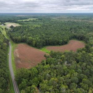 Photo #1 of Off Stocking Head Road, Rose Hills, NC 74.8 acres