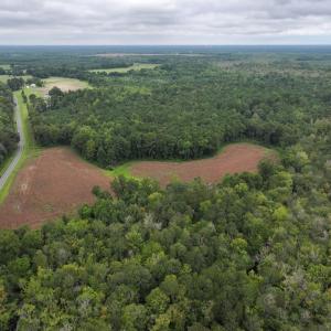 Photo #2 of Off Stocking Head Road, Rose Hills, NC 74.8 acres