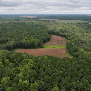 Photo #20 of Off Stocking Head Road, Rose Hills, NC 74.8 acres