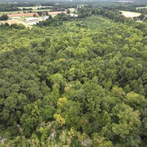 Photo #21 of Off Stocking Head Road, Rose Hills, NC 74.8 acres