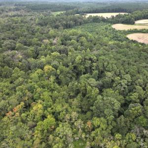 Photo #22 of Off Stocking Head Road, Rose Hills, NC 74.8 acres