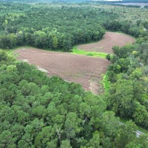 Photo #23 of Off Stocking Head Road, Rose Hills, NC 74.8 acres