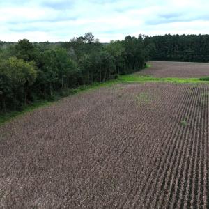Photo #26 of Off Stocking Head Road, Rose Hills, NC 74.8 acres