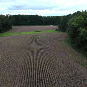 Photo #27 of Off Stocking Head Road, Rose Hills, NC 74.8 acres
