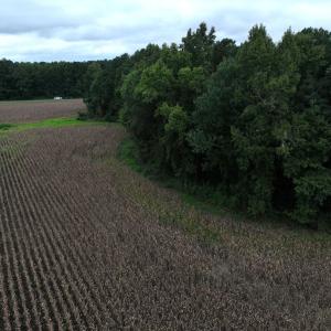 Photo #28 of Off Stocking Head Road, Rose Hills, NC 74.8 acres