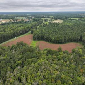 Photo #3 of Off Stocking Head Road, Rose Hills, NC 74.8 acres