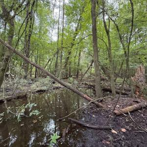 Photo #39 of Off Stocking Head Road, Rose Hills, NC 74.8 acres