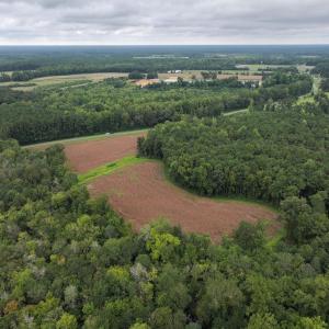 Photo #4 of Off Stocking Head Road, Rose Hills, NC 74.8 acres