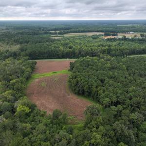 Photo #5 of Off Stocking Head Road, Rose Hills, NC 74.8 acres