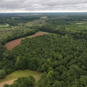 Photo #6 of Off Stocking Head Road, Rose Hills, NC 74.8 acres