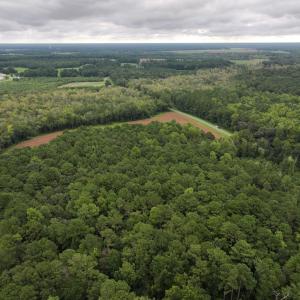 Photo #7 of Off Stocking Head Road, Rose Hills, NC 74.8 acres