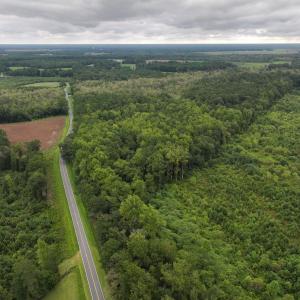 Photo #9 of Off Stocking Head Road, Rose Hills, NC 74.8 acres