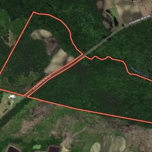 Photo #50 of Off Stocking Head Road, Rose Hills, NC 74.8 acres