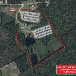 Photo #5 of 687 Brock Rd, Linden, NC 45.0 acres