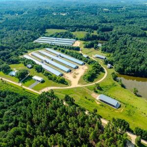 Photo #1 of 687 Brock Rd, Linden, NC 45.0 acres