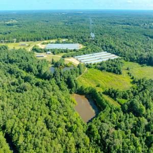 Photo #4 of 687 Brock Rd, Linden, NC 45.0 acres